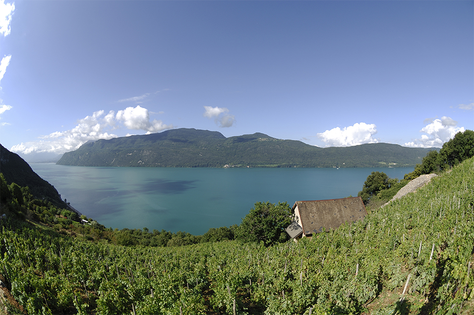 Route des vins de Savoie