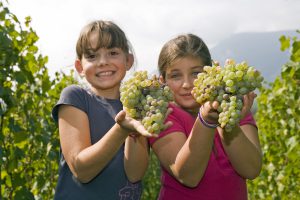 balades-avec-les-enfants