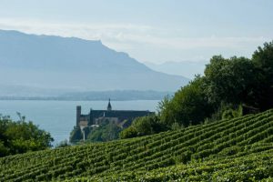 vins-a-decouvrir petites appellations méconnues
