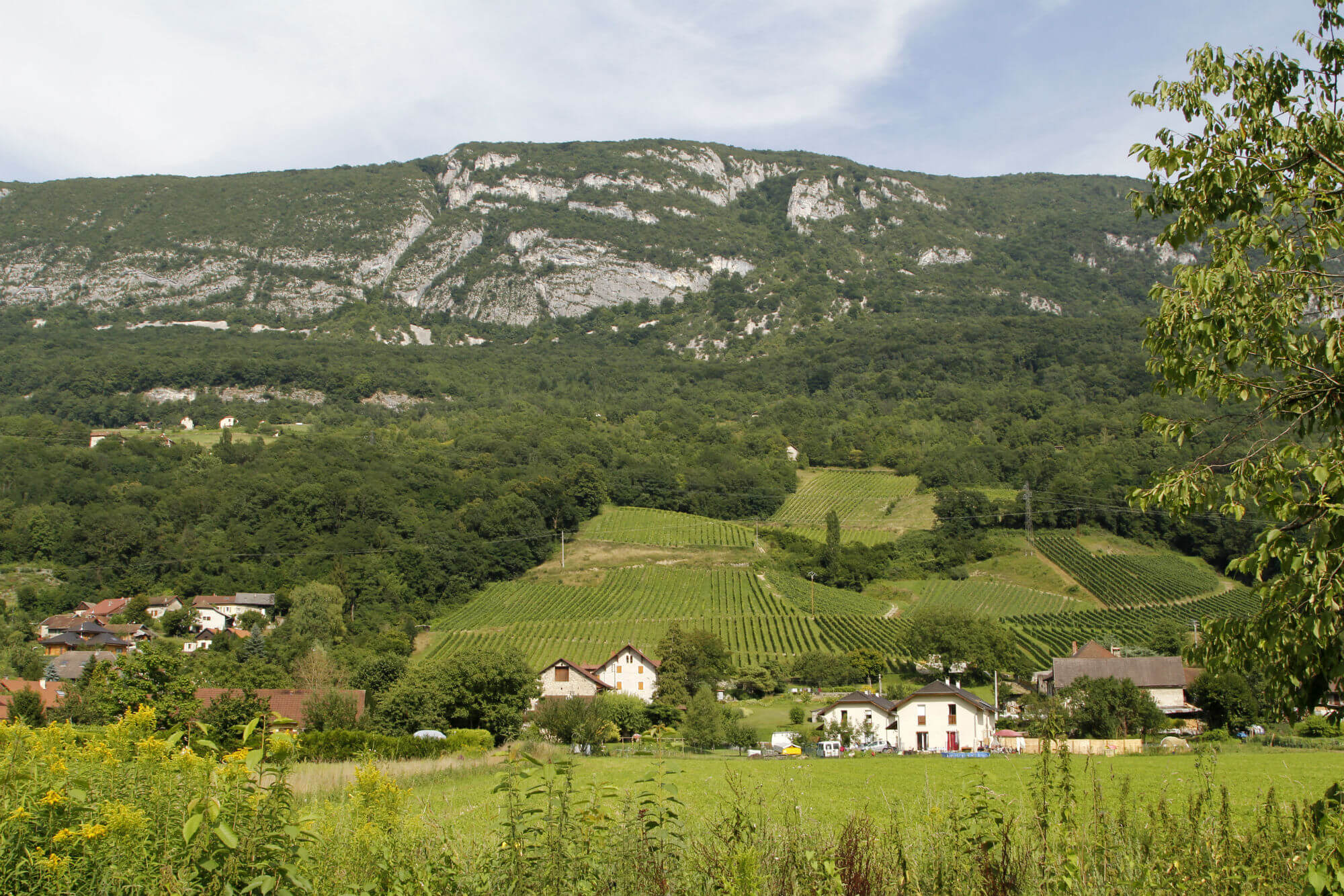 cadeau vin aix les bains riviera des alpes