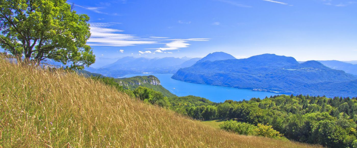 bienfaits de la nature environnante