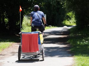remorque vélo